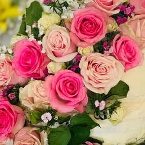 Meet your Posher, Kristen